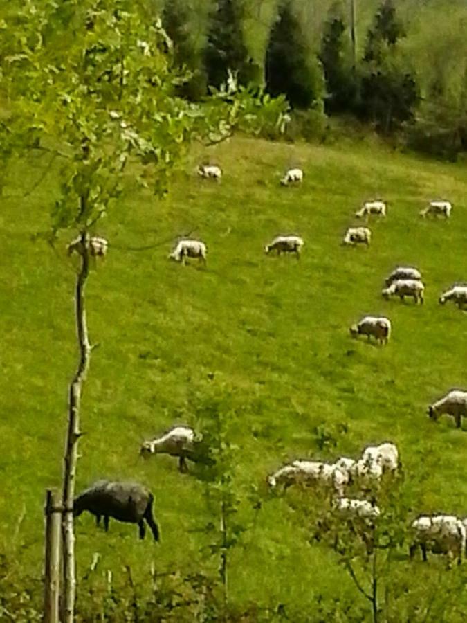 Eguzkitze Alojamiento Rural Lss00085 Abaltzisketa Bagian luar foto