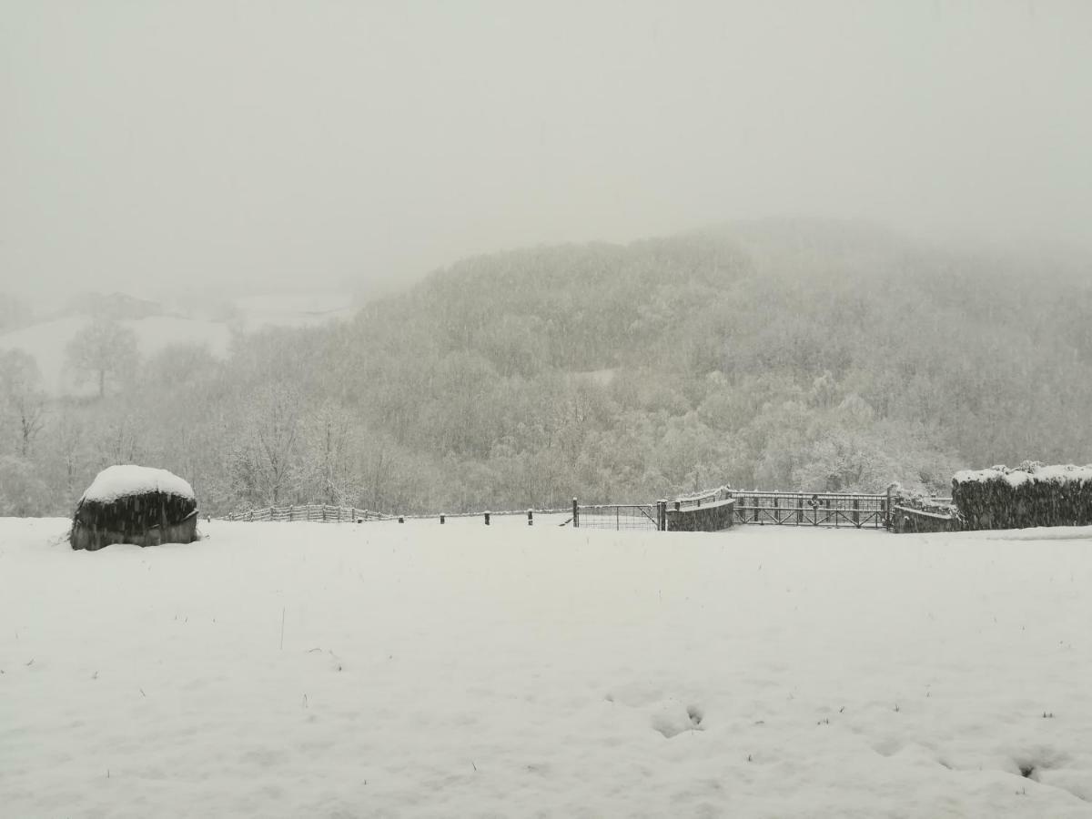 Eguzkitze Alojamiento Rural Lss00085 Abaltzisketa Bagian luar foto