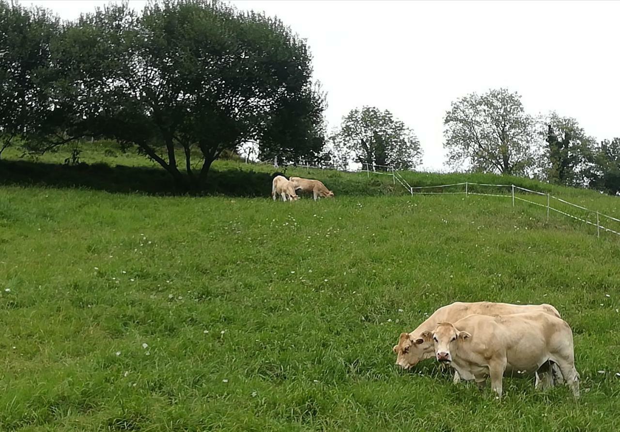Eguzkitze Alojamiento Rural Lss00085 Abaltzisketa Bagian luar foto